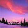 @kimberlywoodbury1739