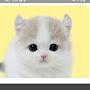 @Lee_su_hyun.