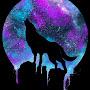 @wolvzunion6831
