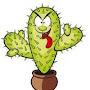 @CactuSSSv2