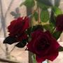 @بسمةالم-ض5ح