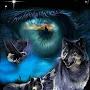 @Angelheart-t4c