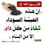 @chouaibmezgar6416