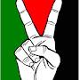 @Iftihussain