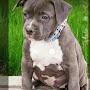 @my2cents230