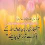 @sajjadsandhu6069