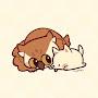 @풍뎅이네