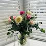 @rituraj-th9fs