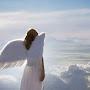 @Angel-f1j2m