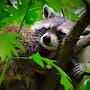 @alexanderbogatchev1022