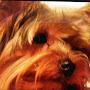 @charlesrosenbloom4140