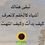 @KhaledSaad01