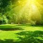 @calm-sun