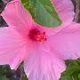 @user-ev8vp7fv1r
