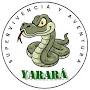 @supervivenciayaventurayarara