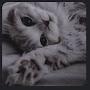 @ff..z.u.r.t.a.j