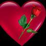 @ayanabdi5894