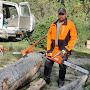 @forestchainsaws5080