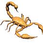 @OZbiology