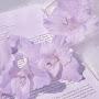 @lavenderfanfics