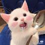 @anyi9856