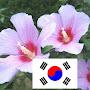 @kms-세르만