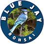 @BlueJayBonsai