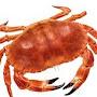 @CrustaceanCraig