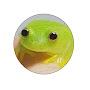@JeIIyfrog