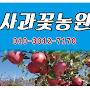 @영주풍기사과꽃농원