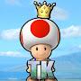 @ToadKing