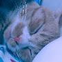 @주우-w7q