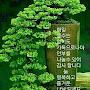 @rana-sh1wo