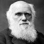 @charlesdarwin4146