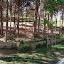 @goktugergun9900