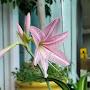 @allesgutegoodluck6185