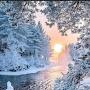 @scotte3699