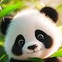 @ĐìnhtântânPhạm