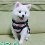@김정인-p9d
