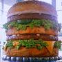@thebiggestbigmacever6315