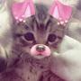 @Official.CatnapEdxts170