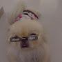 @sushipekingese