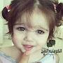 @shodd3361