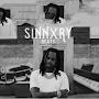 @sinnxry-sanctuary