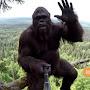 @bigfoot_vlogs69420