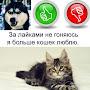 @АндрейНикитин-н6ф