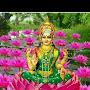 @anuradhaseethamraju4529