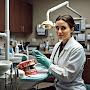 @Dentalsolution4