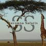 @SavannaSafaris01