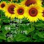 @노을-f9h